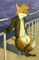 Fox Model