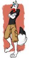 comm: zefer tona by siekae
