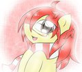 Maple