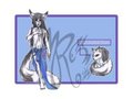 Canadian Marble Fox Male anthro by ModifiedRabbit