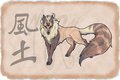 Female Raccoon Fox by ModifiedRabbit