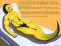 The Naga, Part 1 by Immelmann