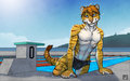 Midmorning Laps by tsaiwolf
