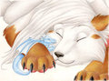 Snuggle