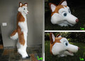 Blond Husky Fursuit