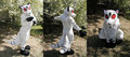 Kirara Suit