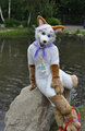 Silent Ravyn Fursuit by SilentRavyn