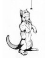 Kitty and Spider by Quill
