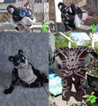 Dark Tiger Fursuit
