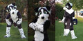 Ally Fursuit