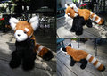 Red Panda Plush