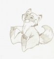 Coonie! 