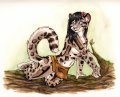 Jungle Girl 