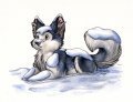 Snowfall 