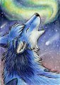 Howl to the Cosmos 