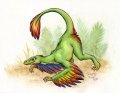 Microraptor 