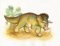 Triceratops 
