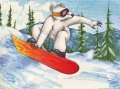 Boarder Bear 