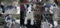 Kobe Plush 
