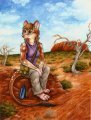 Walkabout 