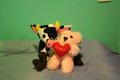 Cow and teddy