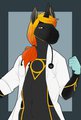 Doctor Flux