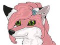 Kora Headshot