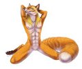 clean Fox by JCFox
