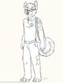 EMT Husky Fray