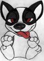 Bull Terrier by FoxyKitsuneFox