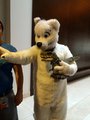 Dino and Folf! by Tokon