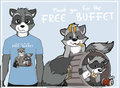 Grateful Raccoons by pandapaco