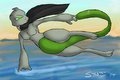 Fly by