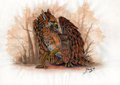 Amurensis by Amurensis