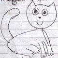 Kitty cat