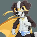 super cutie border collie the most cutie super hero
