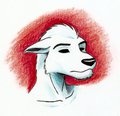 Aen Doodle 140413
