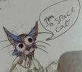 i'm a spacecat