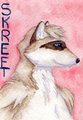 Skreft Badge by Karja