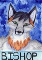 Bishop Badge by Karja