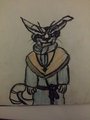 torikabuto pawpad in mage robe