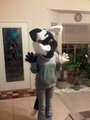 black and white cat partial