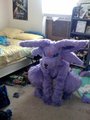 Espeon Fursuit by AndromedaYuki