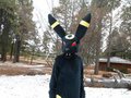 Umbreon fursuit