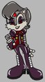 Robo-Sally Acorn by accountnumber102