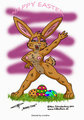 Bunny Time