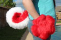 Red Husky Tail and Paws for Sale by Tailarium