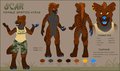 Scar Reference Sheet