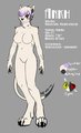 Ankh Reference Sheet by AnkhsPawAfterDark