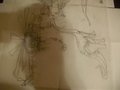 Sketches by creamhot